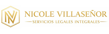 Abogada en CDMX Nicole Villaseñor | Asesoría Legal Integral y Defensa Jurídica Estratégica